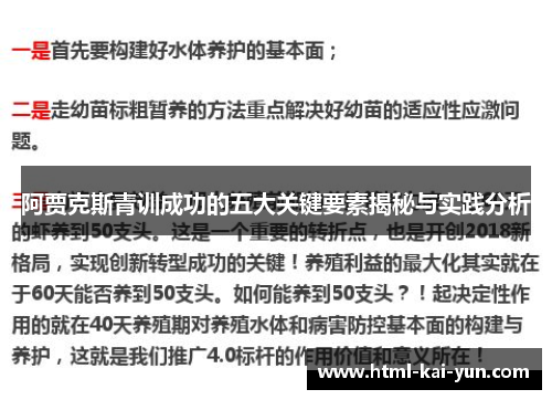 阿贾克斯青训成功的五大关键要素揭秘与实践分析 阿贾克斯青训成功的五大关键要素揭秘与实践分析