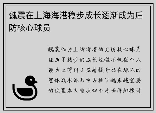 魏震在上海海港稳步成长逐渐成为后防核心球员
